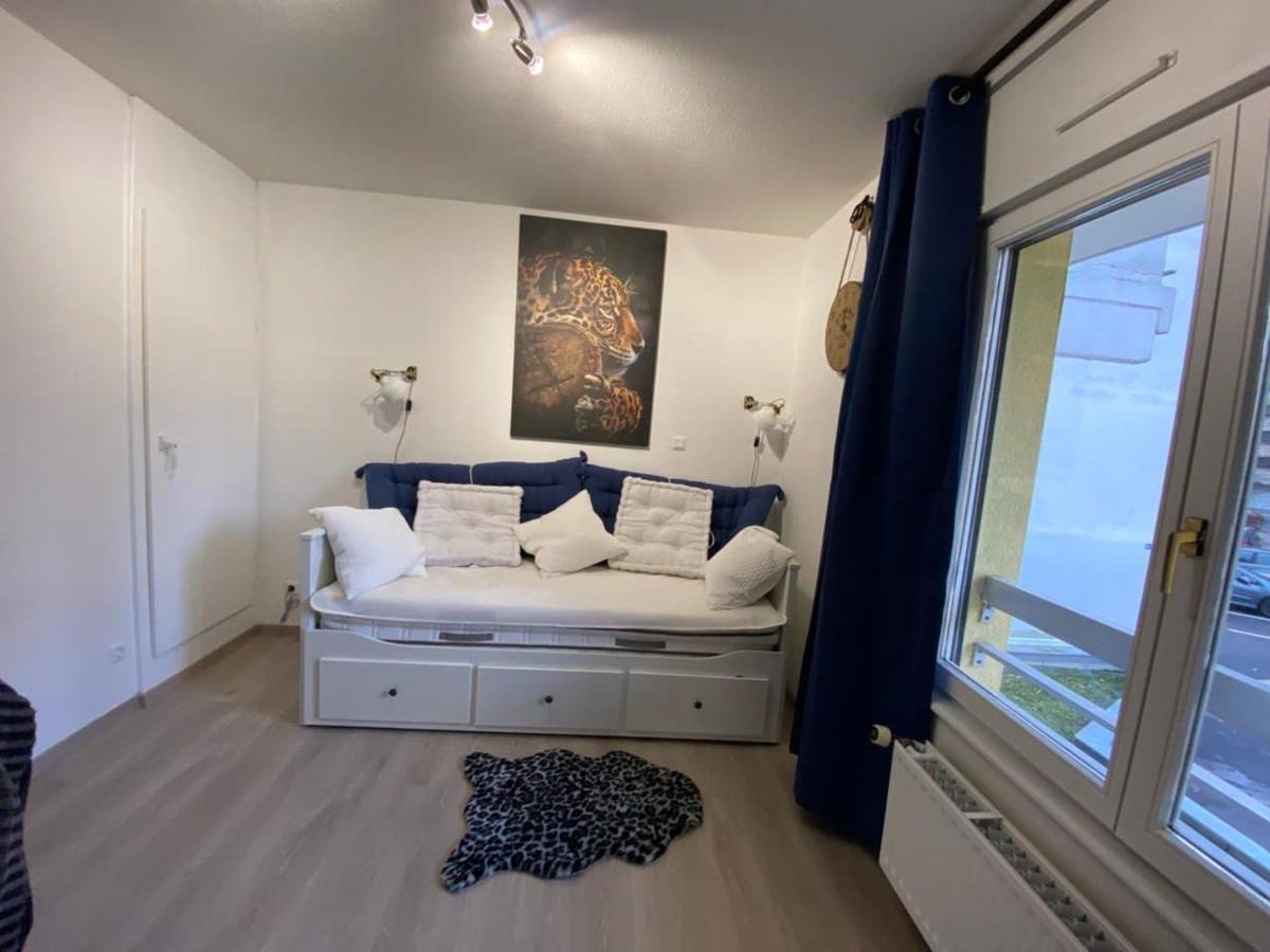 Appartement Esplanade Страсбург Екстериор снимка